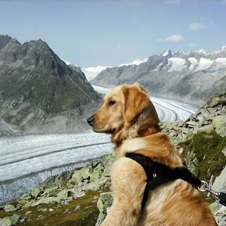 شقة Aragon B47 By Interhome *