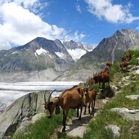 شقة Aragon B47 By Interhome *